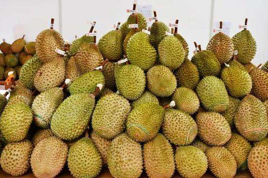 榴蓮進(jìn)口報(bào)關(guān)代理服務(wù)案例，泰國(guó)馬來(lái)西亞榴蓮如何清關(guān)?