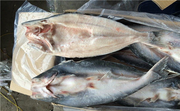 空運(yùn)海鮮進(jìn)口報(bào)關(guān)代理公司 空運(yùn)海鮮進(jìn)口報(bào)關(guān)