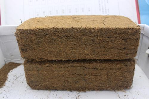 1606017911294364.jpg 椰糠磚進(jìn)口報(bào)關(guān)