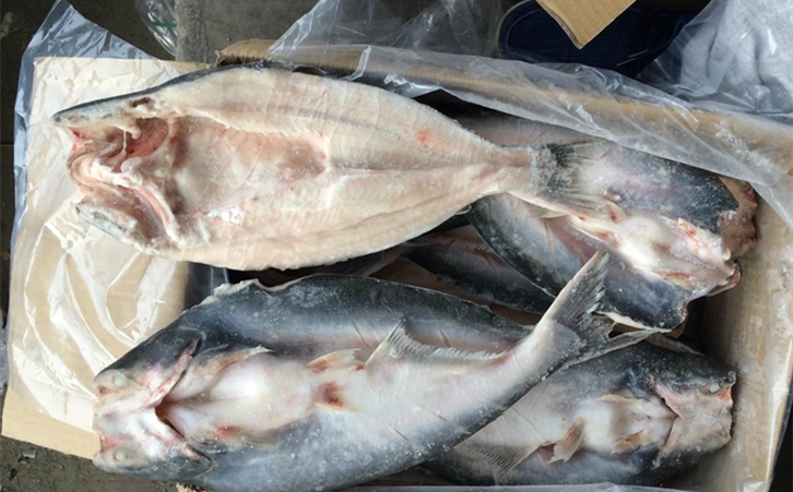 進口巴沙魚清關(guān)代理一點都不難，只要你準備好這些資料