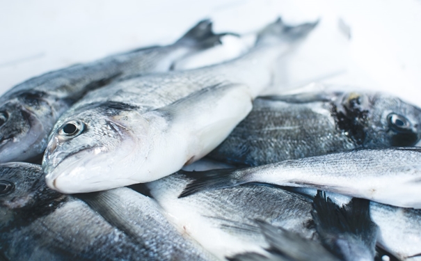 冷凍魚進(jìn)口報關(guān)注意事項有這些,參考一下 冷凍魚進(jìn)口報關(guān)