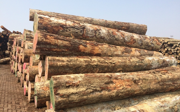 原木進口清關(guān)上海代理公司g