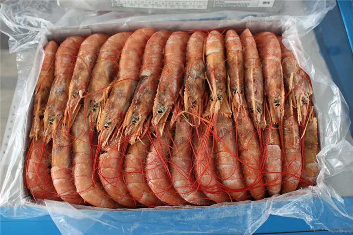 1655980172806973.png 進口印度尼西亞海鮮報關.png