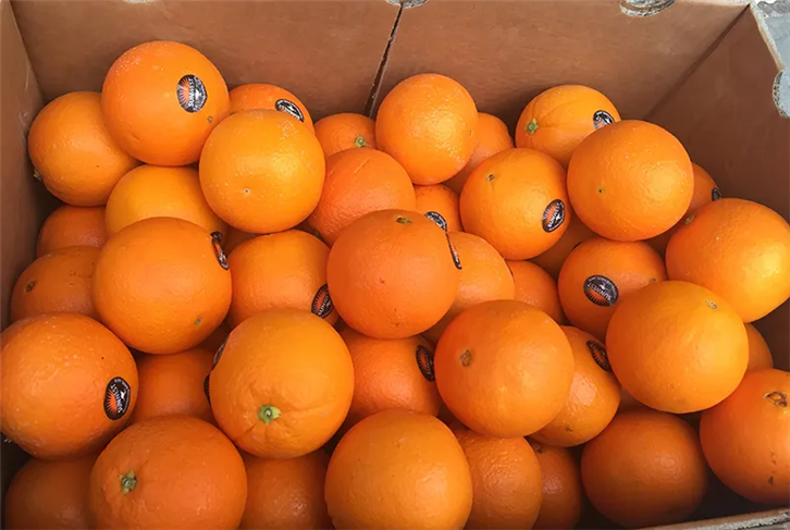 進(jìn)口橙子報關(guān)公司.png