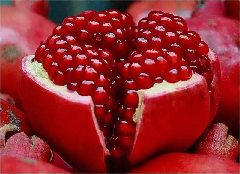 1661418225532826.png 埃及石榴進(jìn)口清關(guān).png