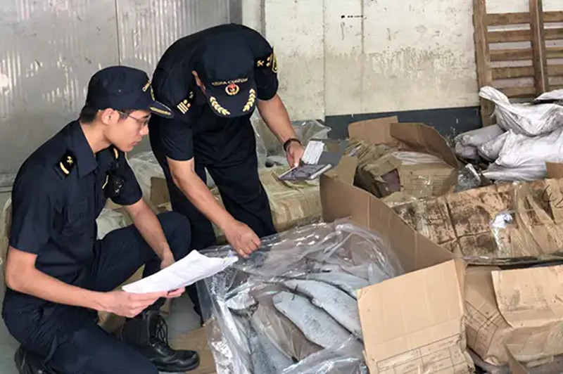 1667997797951232.jpg 水產(chǎn)品進口廣州機場報關.jpg