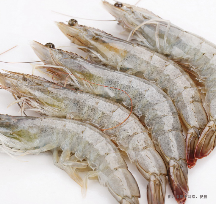 越南冷凍南美白對(duì)蝦進(jìn)口清關(guān)資料 越南冷凍南美白對(duì)蝦進(jìn)口清關(guān)資料