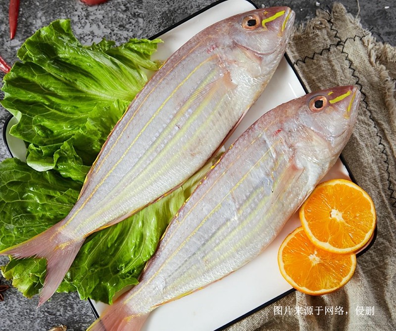 上海進(jìn)口越南金線魚(yú)報(bào)關(guān)流程