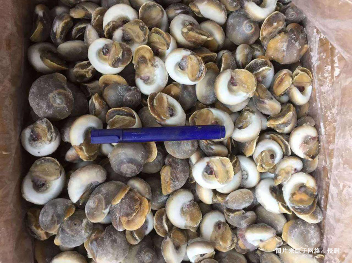 廣州南沙港進(jìn)口印度水產(chǎn)品報(bào)關(guān)資料 廣州南沙港進(jìn)口印度水產(chǎn)品報(bào)關(guān)資料